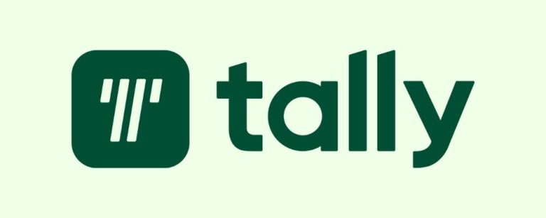 Tally App review Logo Example